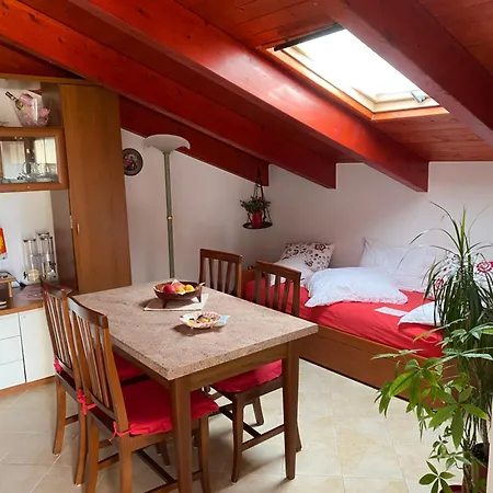 Su Canistreddu Alguer